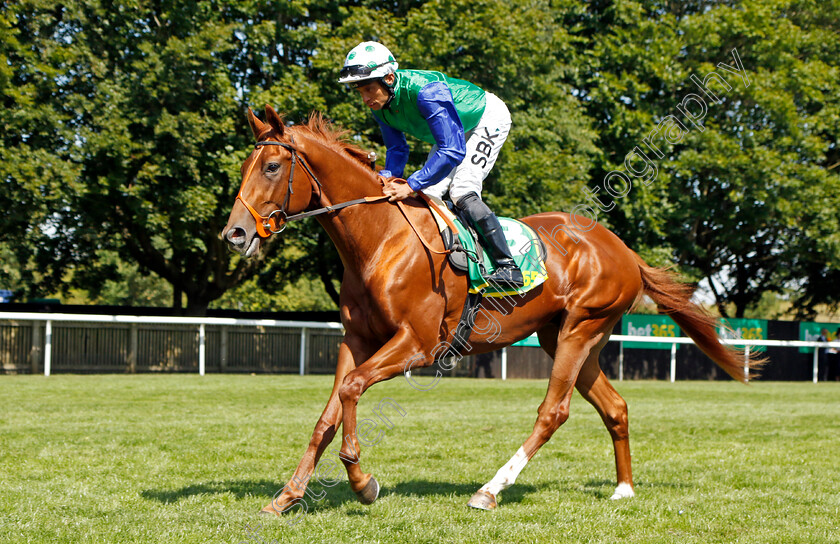 Isaac-Shelby-0002 
 ISAAC SHELBY (Sean Levey) winner of The bet365 Superlative Stakes
Newmarket 9 Jul 2022 - Pic Steven Cargill / Racingfotos.com