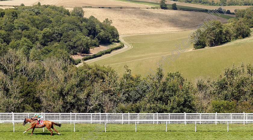 Lil-Rockerfeller-0005 
 LIL ROCKERFELLER (Silvestre De Sousa) wins The Matchbook Betting Podcast Goodwood Handicap
Goodwood 1 Aug 2018 - Pic Steven Cargill / Racingfotos.com