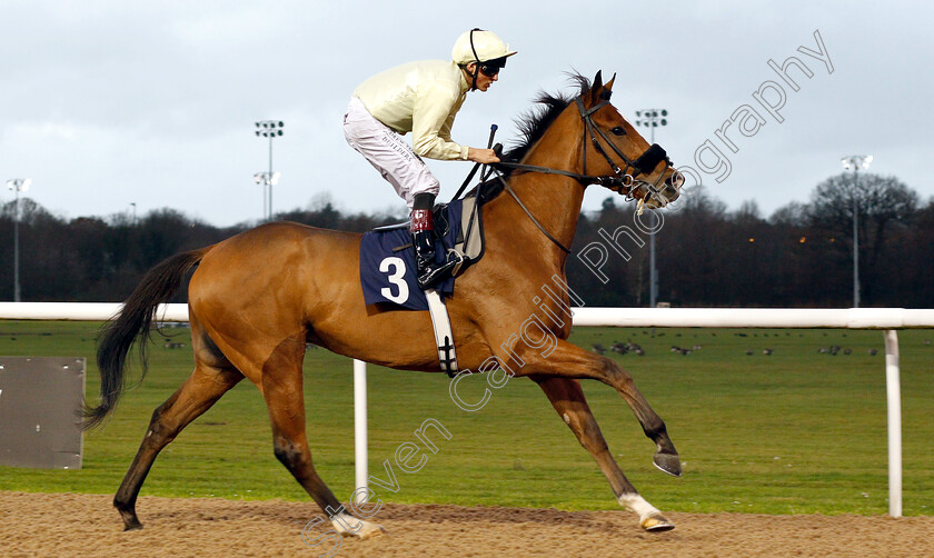 Bigshotte-0002 
 BIGSHOTTE (George Wood)
Wolverhampton 28 Nov 2018 - Pic Steven Cargill / Racingfotos.com