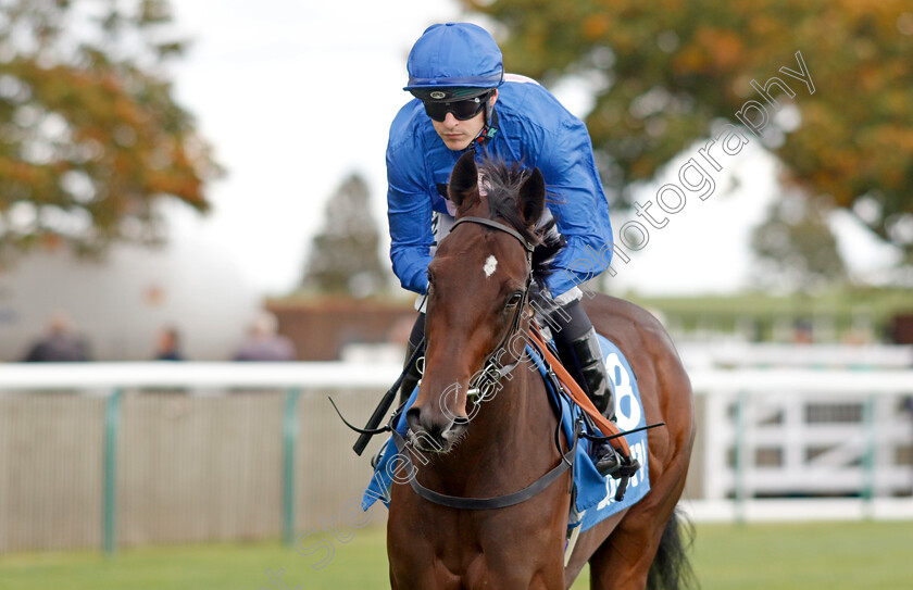 Red-N-Blue-Candy-0002 
 RED N BLUE CANDY (Richard Kingscote)
Newmarket 7 Oct 2022 - Pic Steven Cargill / Racingfotos.com