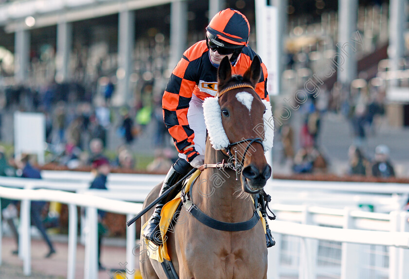 Court-Master-0001 
 COURT MASTER (Richard Patrick)
Cheltenham 10 Dec 2021 - Pic Steven Cargill / Racingfotos.com