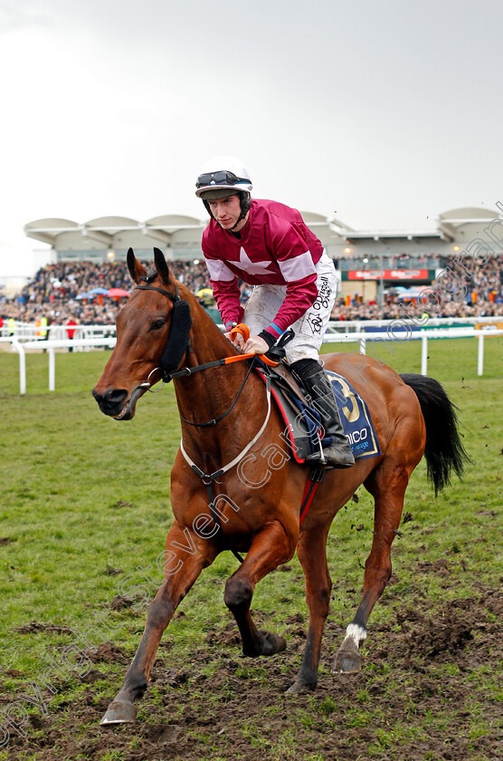 Outlander-0001 
 OUTLANDER (Jack Kennedy) Cheltenham 16 Mar 2018 - Pic Steven Cargill / Racingfotos.com