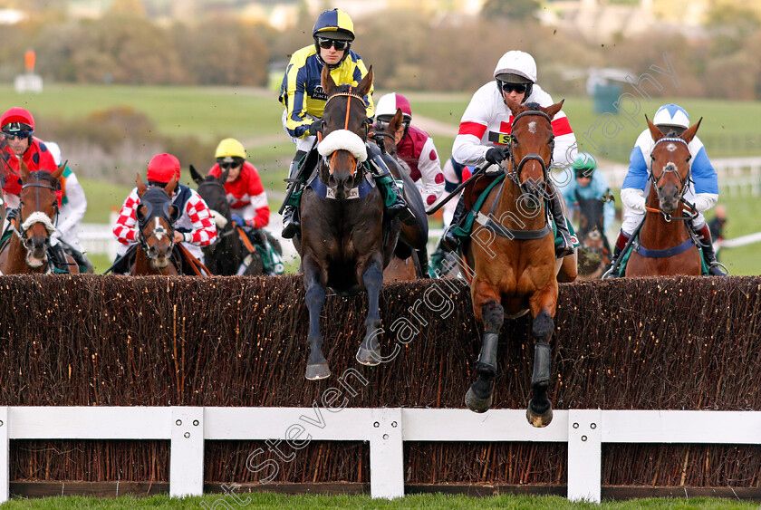 Sonneofpresenting-and-Minellacelebration-0001 
 SONNEOFPRESENTING (left, David Bass) with MINELLACELEBRATION (right, Ben Poste) Cheltenham 28 Oct 2017 - Pic Steven Cargill / Racingfotos.com