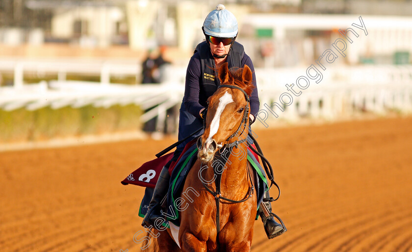 Nayef-Road-0001 
 NAYEF ROAD training for The Turf Handicap
King Abdulaziz Racetrack, Riyadh, Saudi Arabia 23 Feb 2022 - Pic Steven Cargill / Racingfotos.com