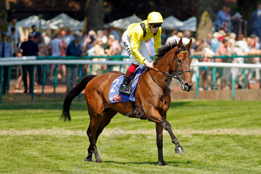 Modaara-0001 
 MODAARA (David Egan)
Haydock 10 Jun 2023 - Pic Steven Cargill / Racingfotos.com