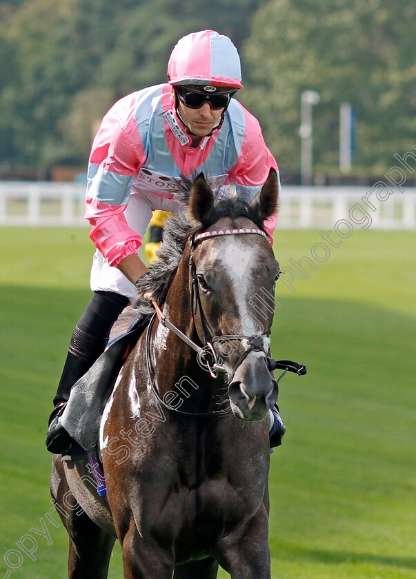 The-Ice-Phoenix-0001 
 THE ICE PHOENIX (Kevin Stott)
Ascot 8 Sep 2023 - Pic Steven Cargill / Racingfotos.com