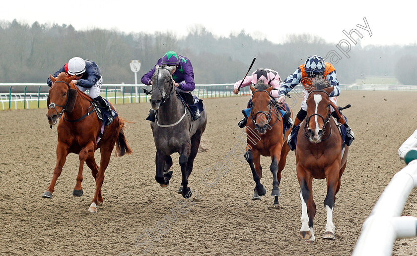 Rusper-0002 
 RUSPER (right, Dougie Costello) beats ZALSHAH (left) and GUVENOR'S CHOICE (2nd left) in The 32Red Casino Handicap Lingfield 6 Jan 2018 - Pic Steven Cargill / Racingfotos.com