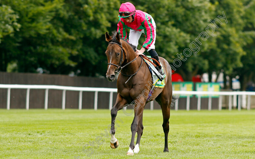 Tales-Of-The-Heart-0001 
 TALES OF THE HEART (Rossa Ryan)
Newmarket 12 Jul 2024 - Pic Steven Cargill / Racingfotos.com