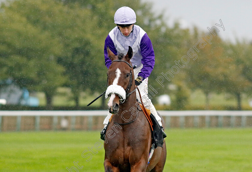 Candyman-Stan-0002 
 CANDYMAN STAN (Oisin Murphy)
Newmarket 26 Sep 2024 - pic Steven Cargill / Racingfotos.com