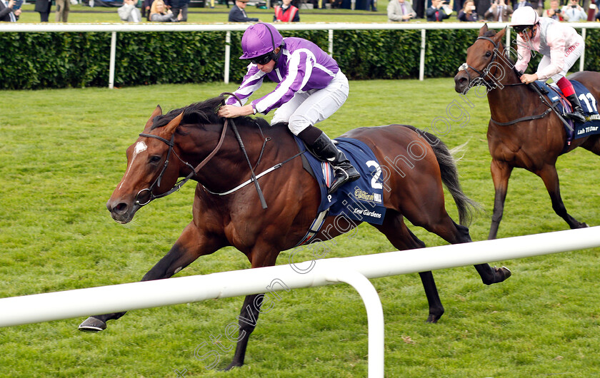 Kew-Gardens-0007 
 KEW GARDENS (Ryan Moore) wins The William Hill St Leger
Doncaster 15 Sep 2018 - Pic Steven Cargill / Racingfotos.com