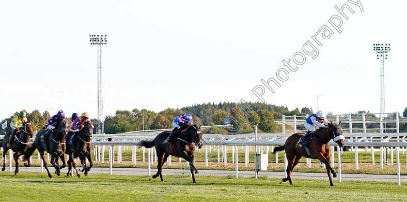 Crystal-Love-0005 
 CRYSTAL LOVE (Sandro De Paiva) wins The Appel Au Maitre Svealandlopning
Bro Park, Sweden , 15 Sep 2024 - Pic Steven Cargill / Racingfotos.com