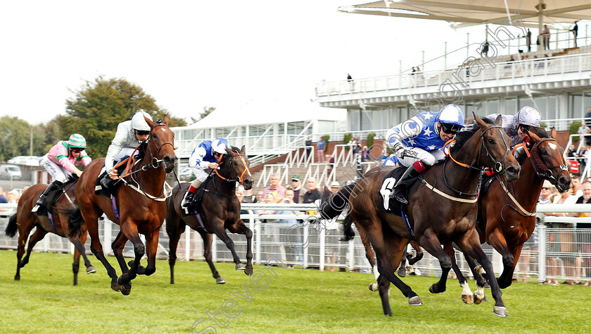 Princess-Power-0002 
 PRINCESS POWER (Andrew Mullen) wins The Racegoers Club 50th Anniversary Fillies Nursery
Goodwood 4 Sep 2018 - Pic Steven Cargill / Racingfotos.com