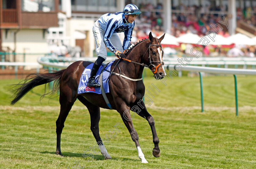 Onesmoothoperator-0002 
 ONESMOOTHOPERATOR (Ben Robinson)
Haydock 10 Jun 2023 - Pic Steven Cargill / Racingfotos.com