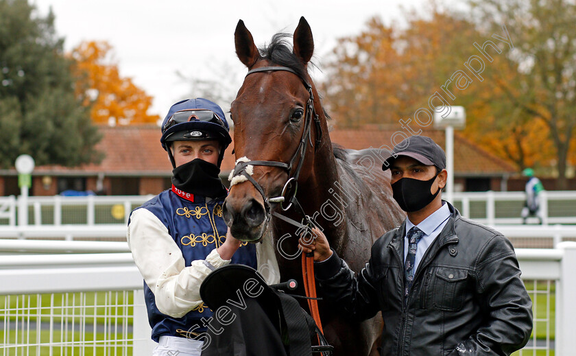 Beau-Jardine-0006 
 BEAU JARDINE (Eoin Walsh) after The Follow Mansionbet On Instagram British EBF Novice Stakes
Newmarket 30 Oct 2020 - Pic Steven Cargill / Racingfotos.com