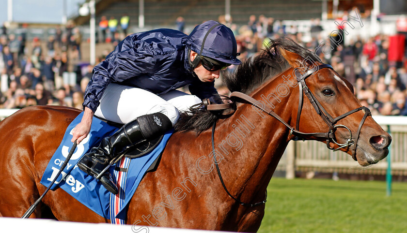 City-Of-Troy-0002 
 CITY OF TROY (Ryan Moore) wins The Dewhurst Stakes
Newmarket 14 Oct 2023 - Pic Steven Cargill / Racingfotos.com