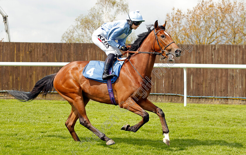 Letaba-0001 
 LETABA (Saffie Osborne)
Leicester 29 Apr 2023 - Pic Steven Cargill / Racingfotos.com