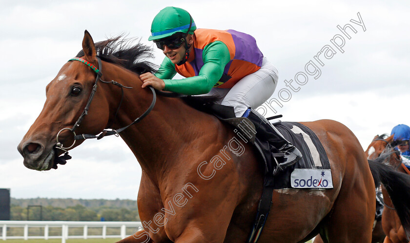 Equitation-0004 
 EQUITATION (Marco Ghiani) wins The Sodexo Handicap
Ascot 6 Sep 2019 - Pic Steven Cargill / Racingfotos.com