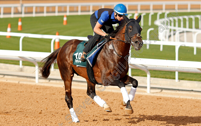 Real-World-0003 
 REAL WORLD training for The Saudi Cup
King Abdulaziz Racetrack, Riyadh, Saudi Arabia 24 Feb 2022 - Pic Steven Cargill / Racingfotos.com