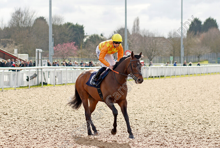 Tinker-Toy-0001 
 TINKER TOY (Jack Mitchell) winner of The Mansionbet Lady Wulfruna Stakes
Wolverhampton 12 Mar 2022 - Pic Steven Cargill / Racingfotos.com