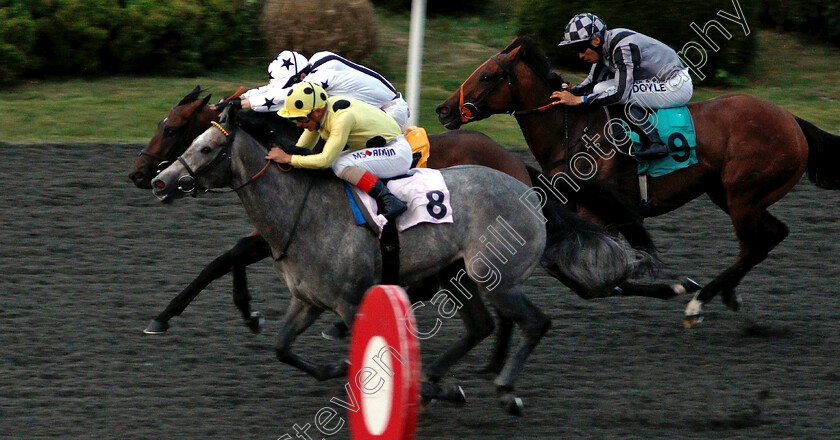 Dubrava-0005 
 DUBRAVA (nearside, Andrea Atzeni) beats INDIAN VICEROY (farside) in The Matchbook 2% Net Win Handicap
Kempton 7 Aug 2019 - Pic Steven Cargill / Racingfotos.com