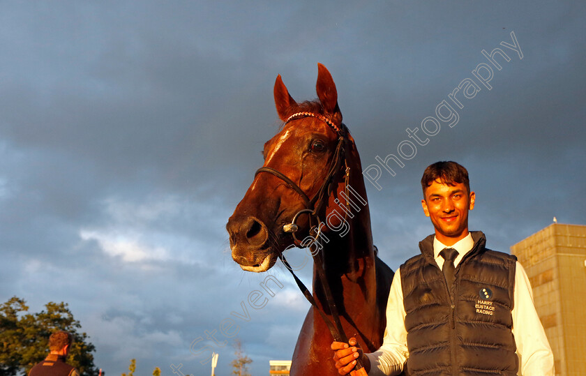 Plus-Point-0004 
 PLUS POINT winner of The Venture Security Handicap
Newbury 27 Jul 2023 - Pic Steven Cargill / Racingfotos.com