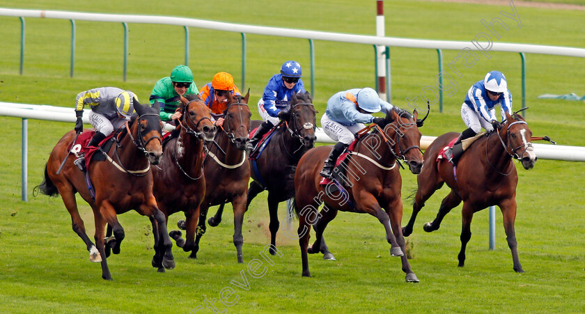 Mondammej-0001 
 MONDAMMEJ (left, Cam Hardie) beats COPPER KNIGHT (2nd right) in The Betfair Be Friendly Handicap
Haydock 4 Sep 2021 - Pic Steven Cargill / Racingfotos.com