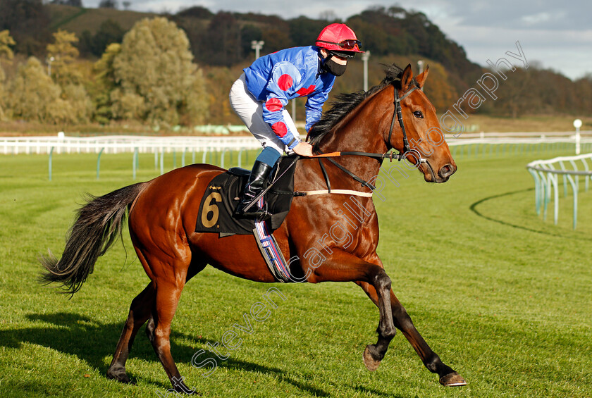 Langafel-0001 
 LANGAFEL (Rhys Clutterbuck)
Nottingham 4 Nov 2020 - Pic Steven Cargill / Racingfotos.com