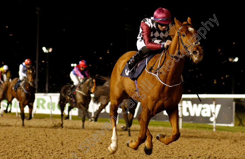 Cry-Wolf-0003 
 CRY WOLF (Rossa Ryan) wins The Betway Handicap
Wolverhampton 28 Nov 2018 - Pic Steven Cargill / Racingfotos.com