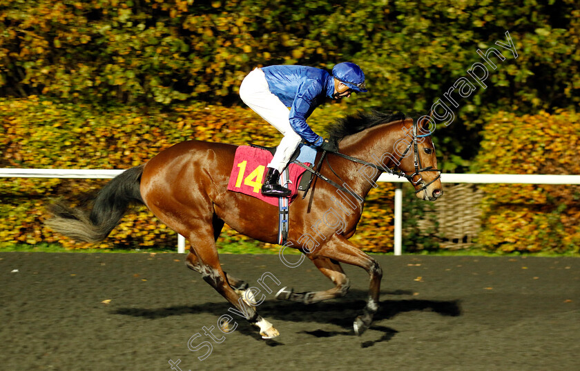 Uncle-Matthew-0002 
 UNCLE MATTHEW (James Doyle)
Kempton 16 Nov 2022 - Pic Steven Cargill / Racingfotos.com