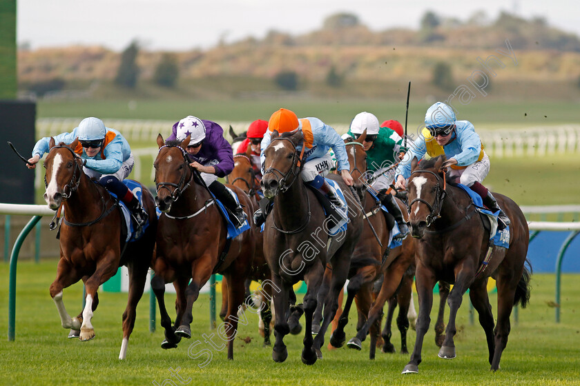 Rumstar-0005 
 RUMSTAR (right, Rob Hornby) beats MAYLANDSEA (2nd right) CRISPY CAT (2nd left) and PRINCE OF PILLO (left) in The Newmarket Academy Godolphin Beacon Project Cornwallis Stakes
Newmarket 7 Oct 2022 - Pic Steven Cargill / Racingfotos.com