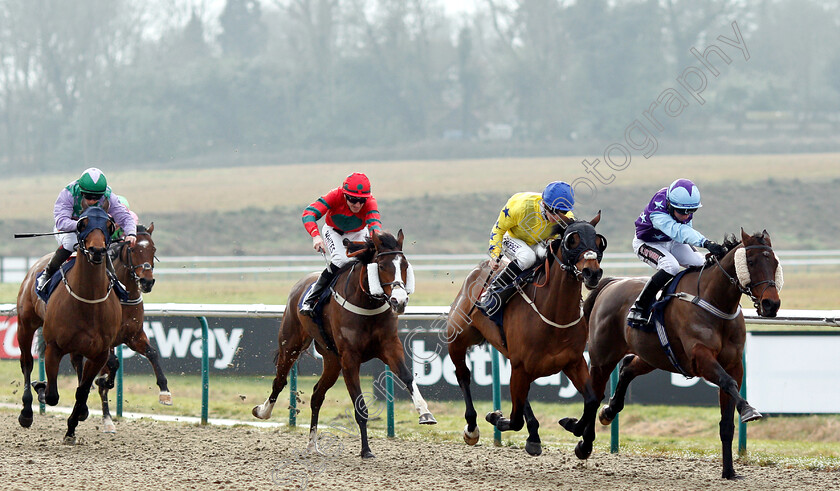 Collate-0001 
 COLLATE (2nd right, David Probert) beats DIAMOND REFLECTION (right) in The Sun Racing Handicap
Lingfield 25 Jan 2019 - Pic Steven Cargill / Racingfotos.com