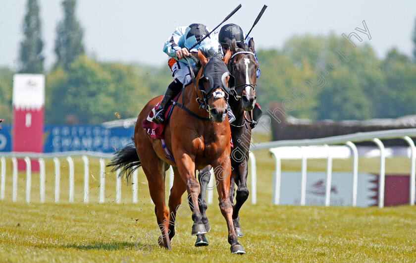 Never-Back-Down-0003 
 NEVER BACK DOWN (Silvestre De Sousa) wins The Shalaa Carnarvon Stakes Newbury 19 May 2018 - PIc Steven Cargill / Racingfotos.com