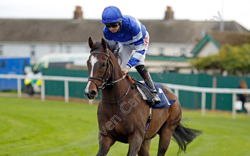 Montecristo-Gold-0001 
 MONTECRISTO GOLD (Robert Havlin)
Yarmouth 16 Oct 2023 - Pic Steven Cargill / Racingfotos.com