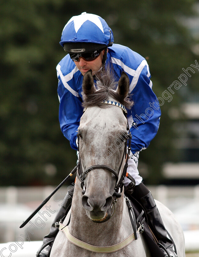 Librisa-Breeze-0001 
 LIBRISA BREEZE (Robert Winston)
Newbury 18 Aug 2018 - Pic Steven Cargill / Racingfotos.com