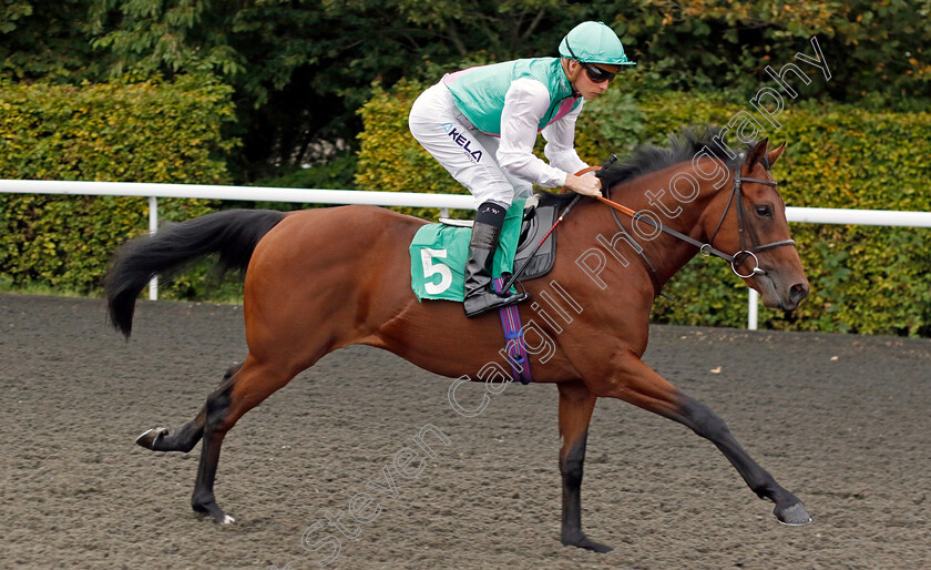 Farizio-0002 
 FARIZIO (Jason Watson)
Kempton 8 Sep 2023 - Pic Steven Cargill / Racingfotos.com