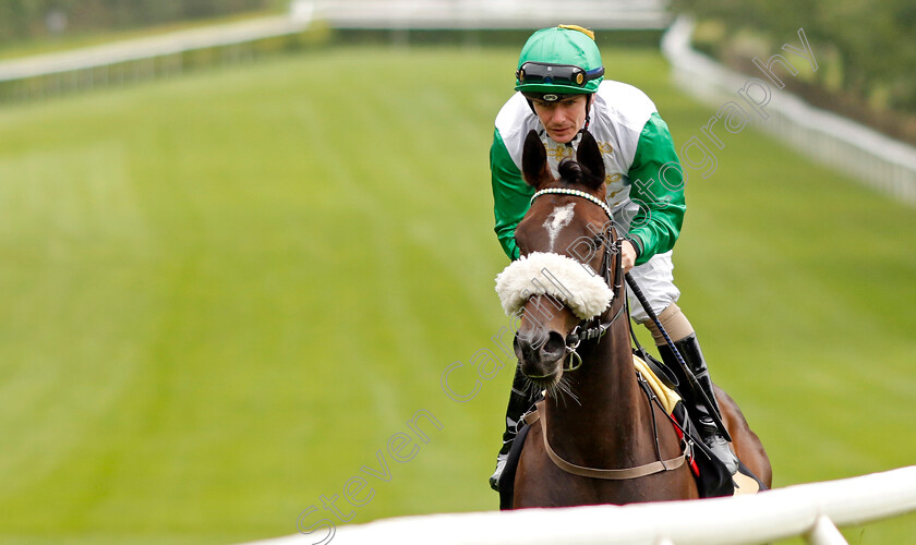 Snafiya-0002 
 SNAFIYA (Kieran O'Neill)
Newmarket 5 Aug 2023 - Pic Steven Cargill / Racingfotos.com