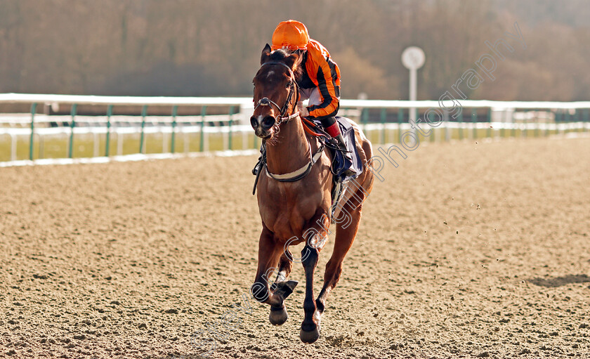 Passionova-0005 
 PASSIONOVA (Shane Kelly) wins The Ladbrokes Watch Racing Online For Free Fillies Novice Stakes
Lingfield 13 Feb 2021 - Pic Steven Cargill / Racingfotos.com