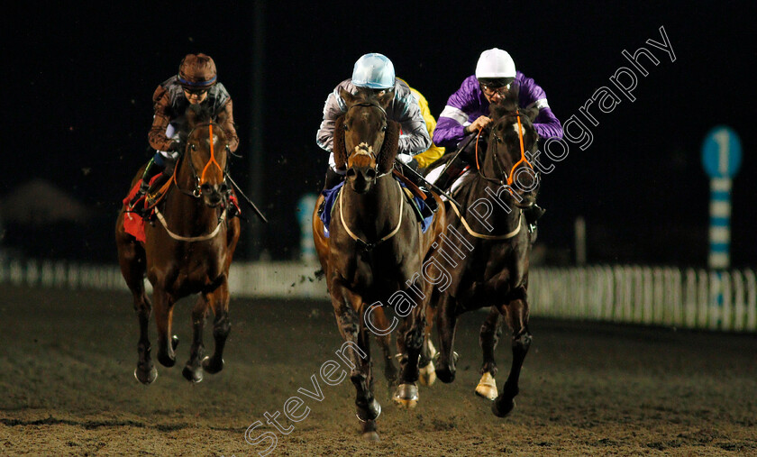 Hassaad-0003 
 HASSAAD (Hollie Doyle) beats FEN BREEZE (right) in The 32Red Casino Fillies Handicap
Kempton 29 Jan 2020 - Pic Steven Cargill / Racingfotos.com