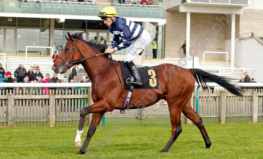 Happy-Banner-0001 
 HAPPY BANNER (Kieran Shoemark)
Newmarket 23 Oct 2024 - Pic Steven Cargill / Racingfotos.com