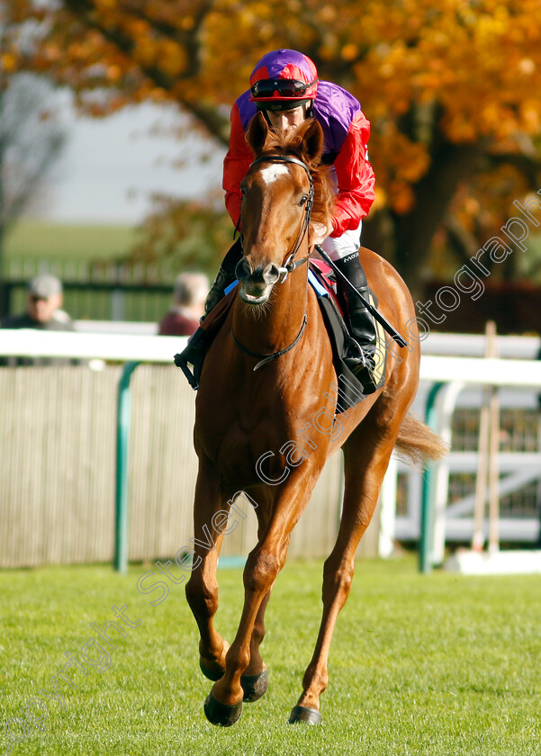 With-Zest-0001 
 WITH ZEST (Ryan Moore)
Newmarket 23 Oct 2024 - Pic Steven Cargill / Racingfotos.com