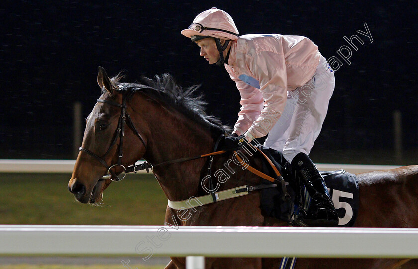 Lady-Lydia-0001 
 LADY LYDIA (Aled Beech) Chelmsford 1 Dec 2017 - Pic Steven Cargill / Racingfotos.com