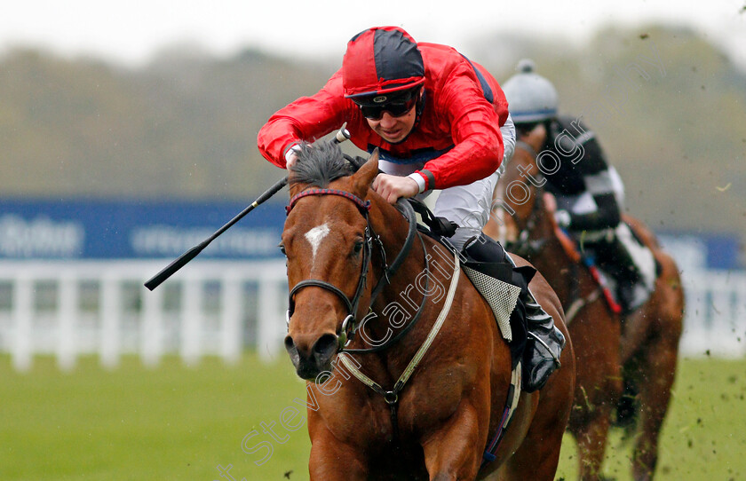 Chipotle-0004 
 CHIPOTLE (Charles Bishop) wins The Royal Ascot Two-Year-Old Trial Conditions Stakes
Ascot 28 Apr 2021 - Pic Steven Cargill / Racingfotos.com