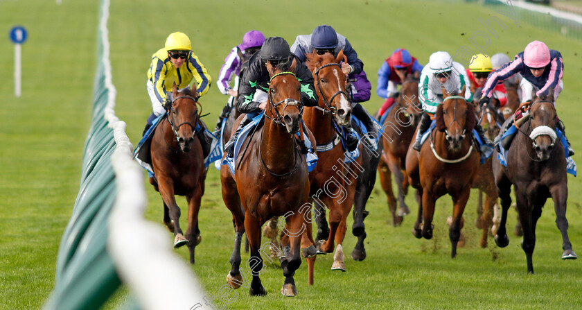 Inquisitively-0006 
 INQUISITIVELY (William Buick) wins The Newmarket Academy Godolphin Beacon Project Cornwallis Stakes
Newmarket 13 Oct 2023 - Pic Steven Cargill / Racingfotos.com