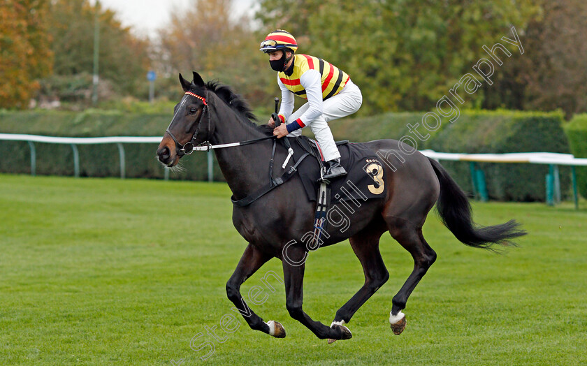 Welsh-Rarebit-0001 
 WELSH RAREBIT (Victor Santos)
Nottingham 28 Oct 2020 - Pic Steven Cargill / Racingfotos.com