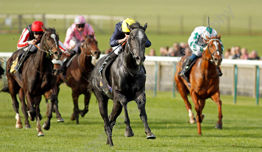 Bodorgan-0004 
 BODORGAN (Ryan Moore) wins The British Stallion Studs EBF Novice Stakes Div2
Newmarket 28 Oct 2022 - Pic Steven Cargill / Racingfotos.com