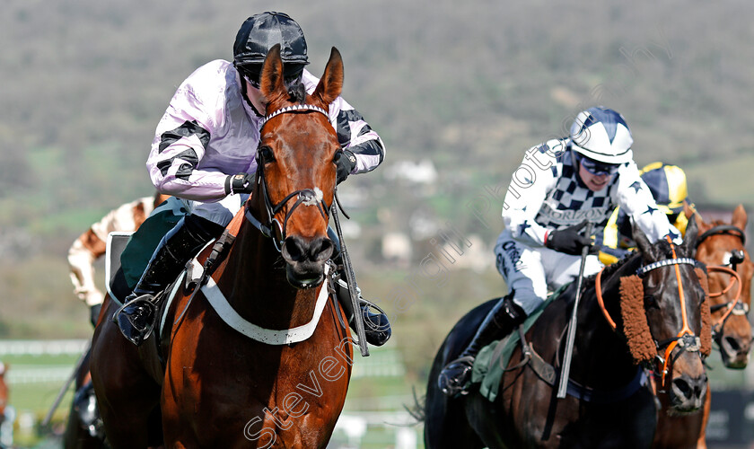 Champagne-Express-0005 
 CHAMPAGNE EXPRESS (James Bowen) wins The Kingston Stud Supporting Greatwood Handicap Hurdle Cheltenham 18 Apr 2018 - Pic Steven Cargill / Racingfotos.com