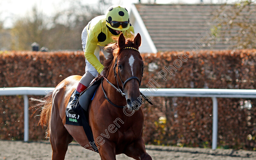 El-Drama-0001 
 EL DRAMA (Andrea Atzeni)
Kempton 5 Apr 2021 - Pic Steven Cargill / Racingfotos.com