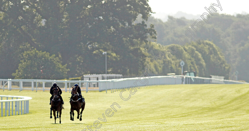 Coolangatta-0004 
 COOLANGATTA (right, James McDonald) preparing for Royal Ascot
Ascot 14 Jun 2023 - Pic Steven Cargill / Racingfotos.com