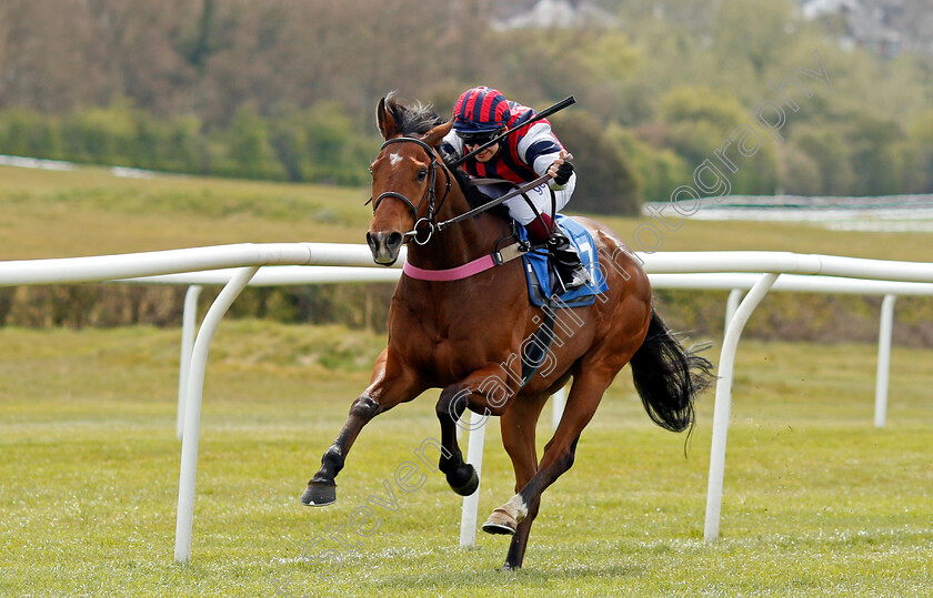 Mr-Zee-0002 
 MR ZEE (Marco Ghiani) wins The Follow Us On Twitter @leicesterraces Handicap Div1
Leicester 24 Apr 2021 - Pic Steven Cargill / Racingfotos.com