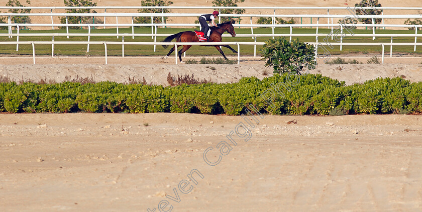 Point-Lonsdale-0003 
 POINT LONSDALE training for the Bahrain International Trophy
Kingdom of Bahrain 14 Nov 2024 - Pic Steven Cargill / Racingfotos.com